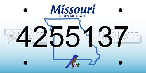 4255137 Missouri License Plate