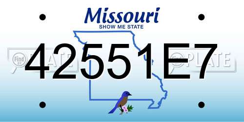 42551E7 Missouri License Plate