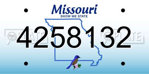 4258132 Missouri License Plate