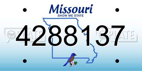 4288137 Missouri License Plate