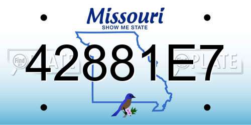 42881E7 Missouri License Plate