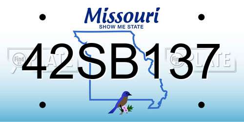 42SB137 Missouri License Plate