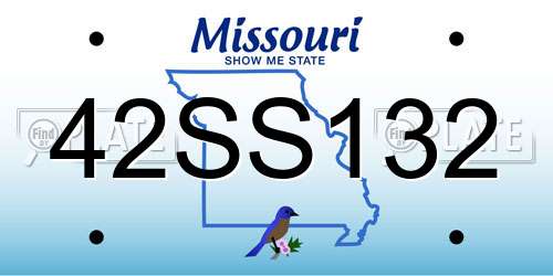 42SS132 Missouri License Plate