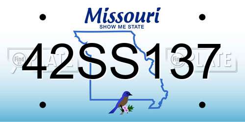 42SS137 Missouri License Plate