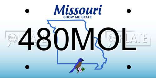 480MOL Missouri License Plate