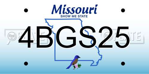 4BGS25 Missouri License Plate