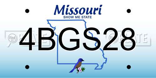 4BGS28 Missouri License Plate