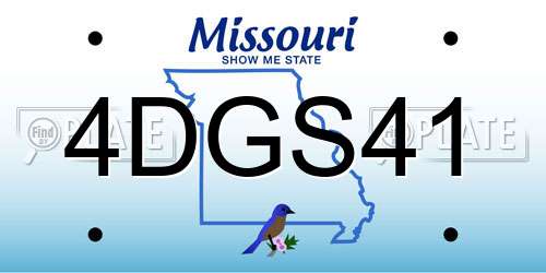 4DGS41 Missouri License Plate
