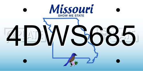 4DWS685 Missouri License Plate