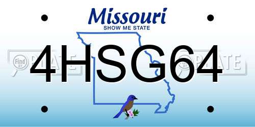 4HSG64 Missouri License Plate