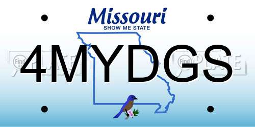 4MYDGS Missouri License Plate