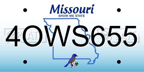 4OWS655 Missouri License Plate