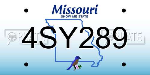 4SY289 Missouri License Plate