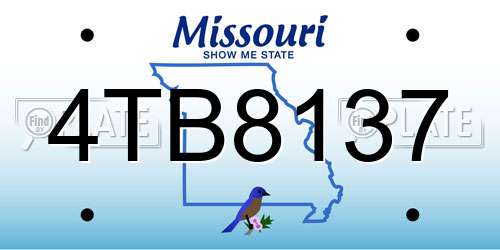 4TB8137 Missouri License Plate