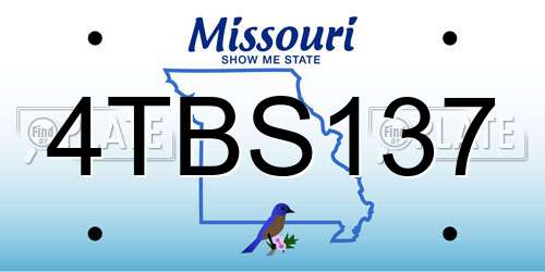 4TBS137 Missouri License Plate