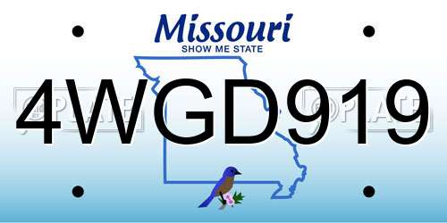 4WGD919 Missouri License Plate