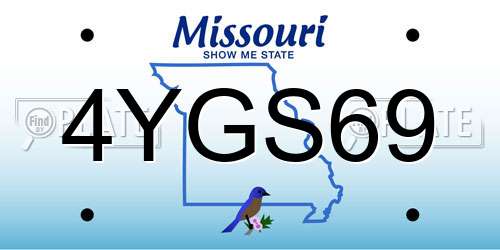 4YGS69 Missouri License Plate