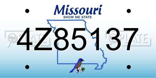 4Z85137 Missouri License Plate