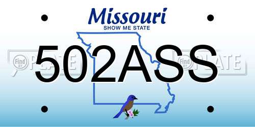 502ASS Missouri License Plate