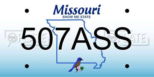 507ASS Missouri License Plate