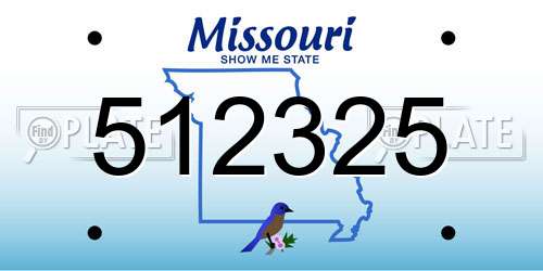 512325 Missouri License Plate