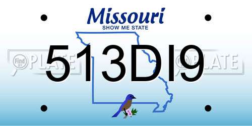 513DI9 Missouri License Plate