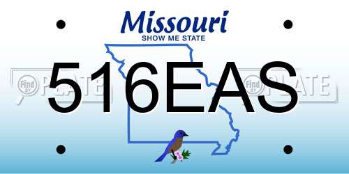 516EAS Missouri License Plate