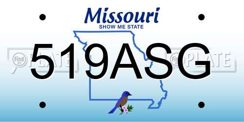 519ASG Missouri License Plate