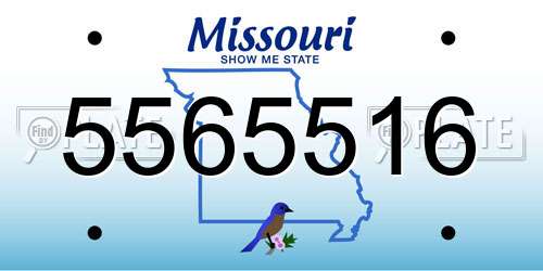 5565516 Missouri License Plate