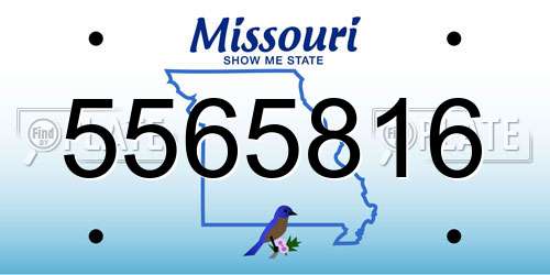 5565816 Missouri License Plate