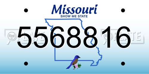 5568816 Missouri License Plate