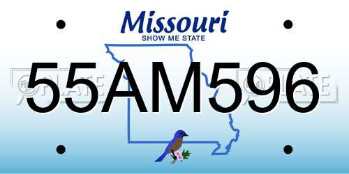 55AM596 Missouri License Plate