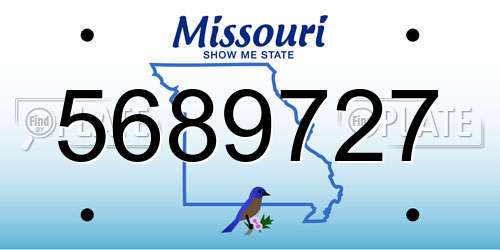 5689727 Missouri License Plate