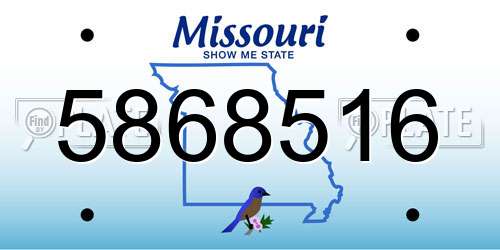 5868516 Missouri License Plate