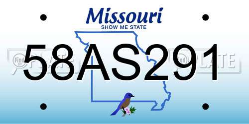 58AS291 Missouri License Plate