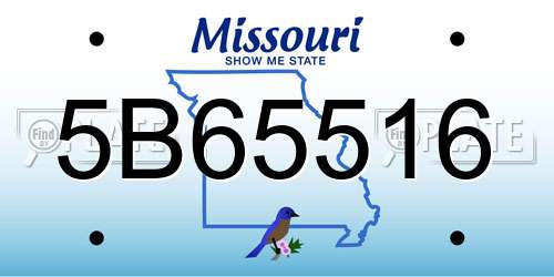 5B65516 Missouri License Plate