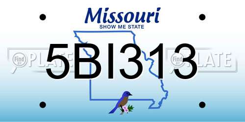 5BI313 Missouri License Plate