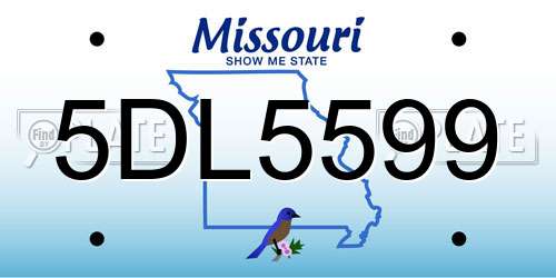 5DL5599 Missouri License Plate