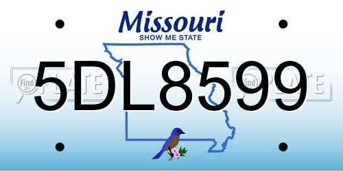 5DL8599 Missouri License Plate
