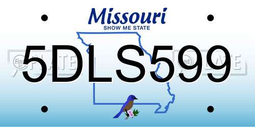 5DLS599 Missouri License Plate