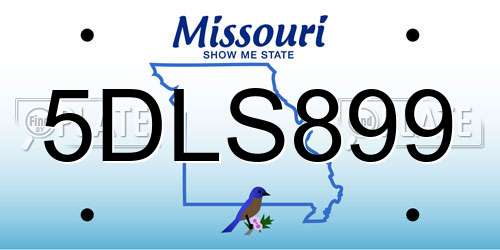 5DLS899 Missouri License Plate
