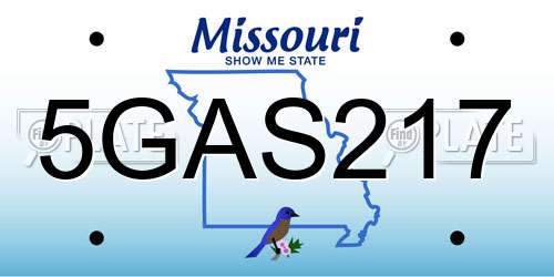 5GAS217 Missouri License Plate