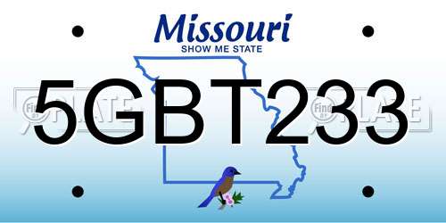 5GBT233 Missouri License Plate