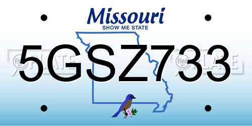 5GSZ733 Missouri License Plate
