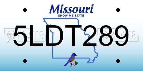 5LDT289 Missouri License Plate