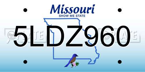 5LDZ960 Missouri License Plate