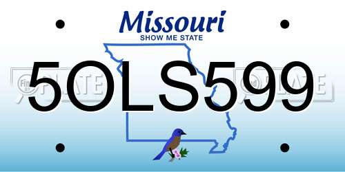 5OLS599 Missouri License Plate