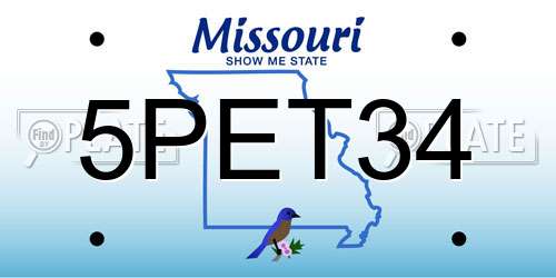 5PET34 Missouri License Plate