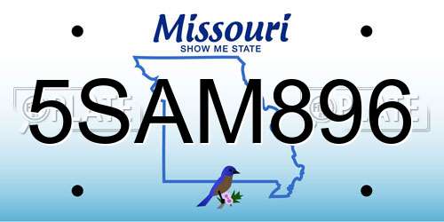 5SAM896 Missouri License Plate
