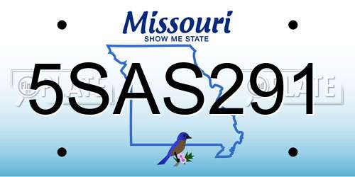5SAS291 Missouri License Plate